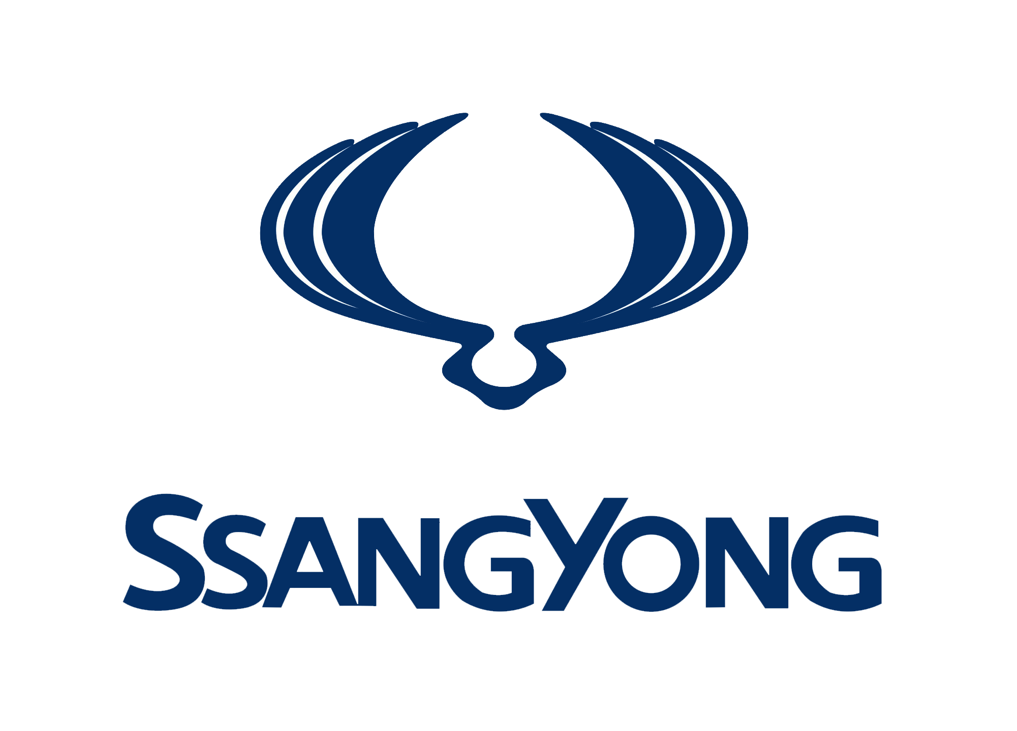 Ssangyong replacement car key